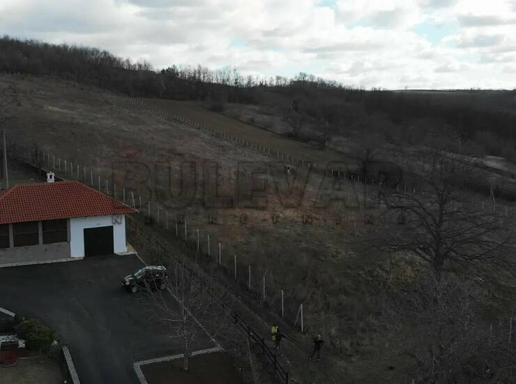 Plac Topola, Božurnja – fotografija 8