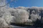 Kuća Niš, Gornja Studena – fotografija 9