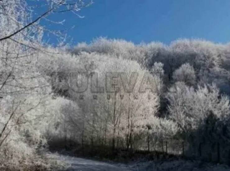 Kuća Niš, Gornja Studena – fotografija 9