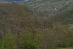 Kuća Dimitrovgrad, Lukavica – fotografija 11