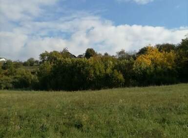 Plac, Dobrilovac · 2480m² · 93.000€ | SveNekretnine