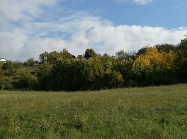 Plac Sremski Karlovci, Dobrilovac – fotografija 1
