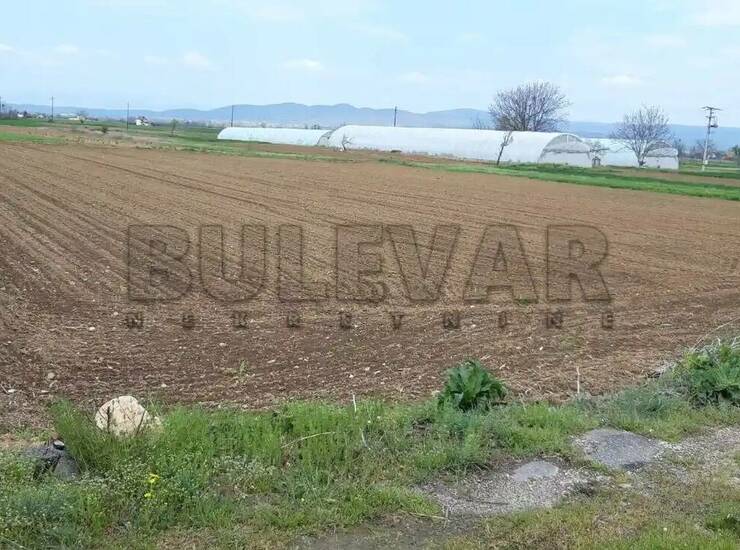 Plac Niš, 9 Maj (Novo naselje) – fotografija 3