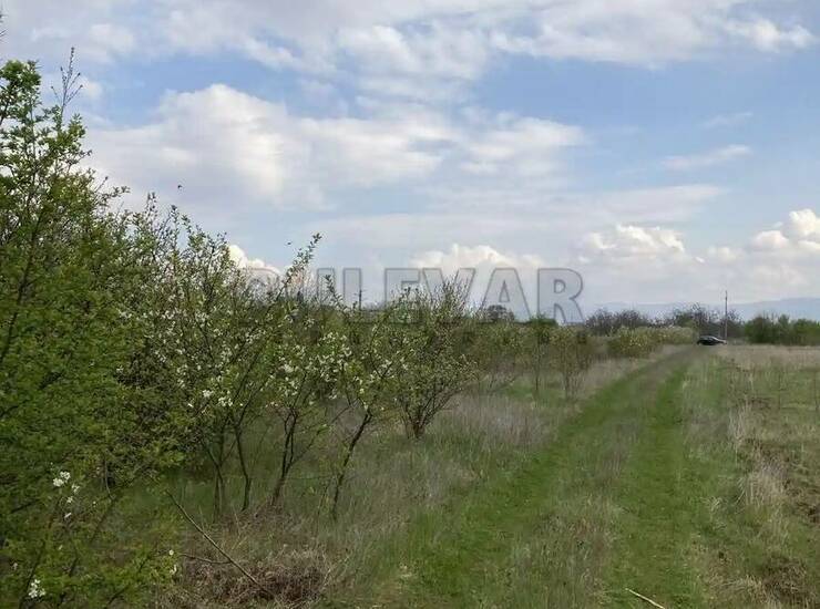 Plac Niš, Vrtište – fotografija 5