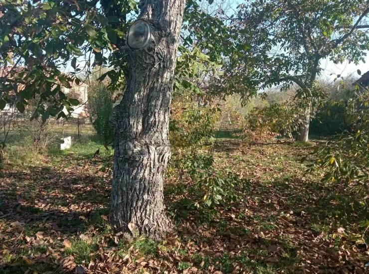 Kuća Aleksinac, Bobovište – fotografija 6