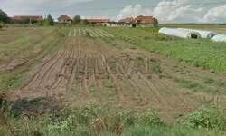 Plac, Držanovac · 5200m² · 27.000€ | SveNekretnine