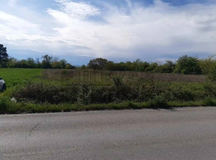 Plac Niš, Pasi poljana – fotografija 1