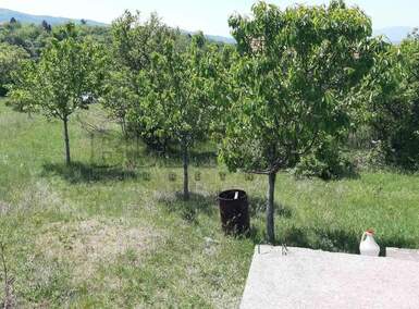 Plac, Donje Vlase · 738m² · 13.000€ | SveNekretnine