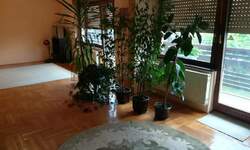 Cetvorosoban stan, Čalije · 210m² · 900€ | SveNekretnine