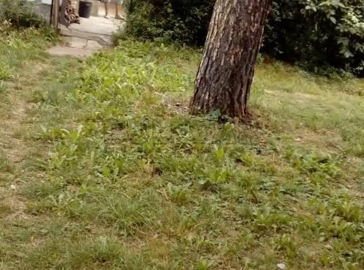 Kuća Kraljevo, Kraljevo – fotografija 4