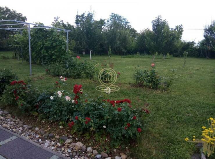 Plac Novi Sad, Ribnjak – fotografija 3