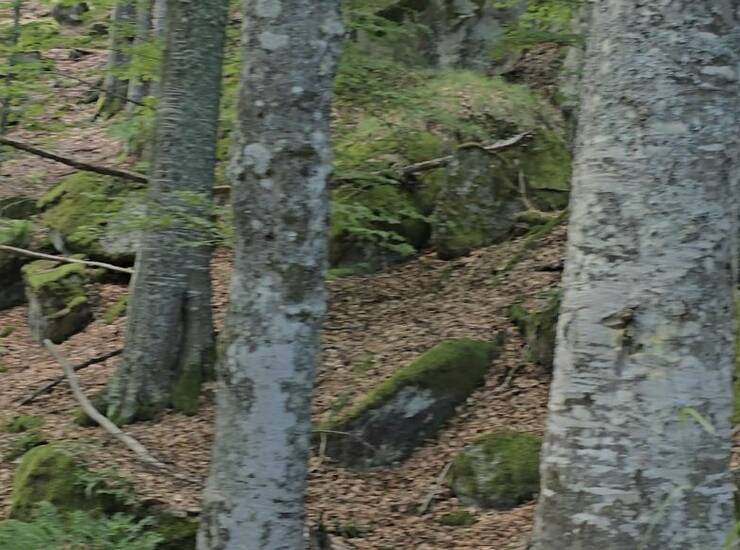 Plac Kopaonik – fotografija 8