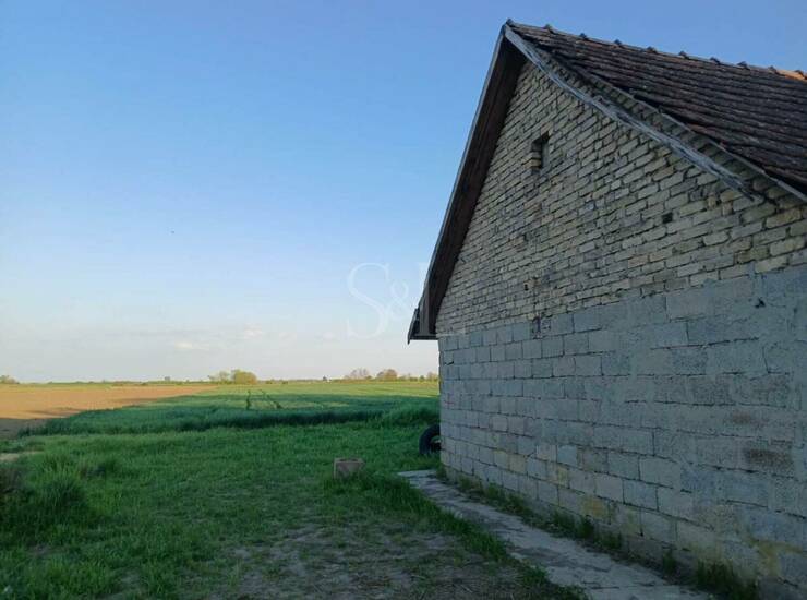 Stan Sombor, Kolut – fotografija 6