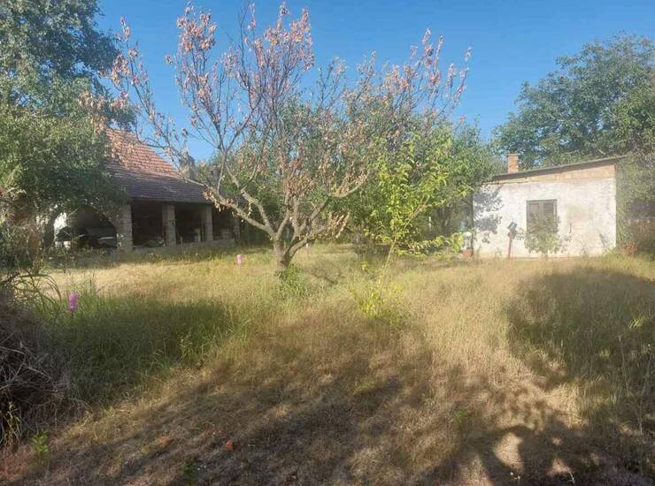 Plac Čortanovci – fotografija 1