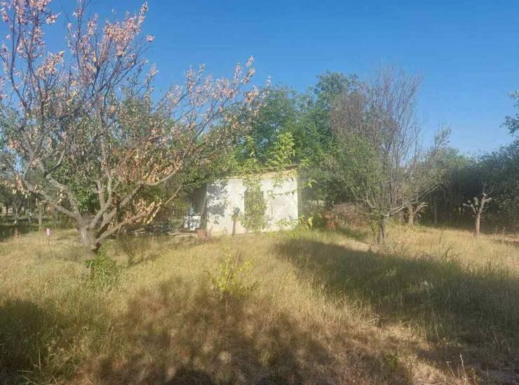 Plac Čortanovci – fotografija 3