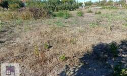 Plac, Beljin · 39.000€ | SveNekretnine
