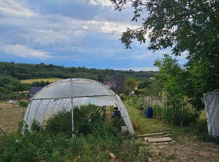 Vikendica Sremski Karlovci, Banstol - Vikend Naselje – fotografija 6