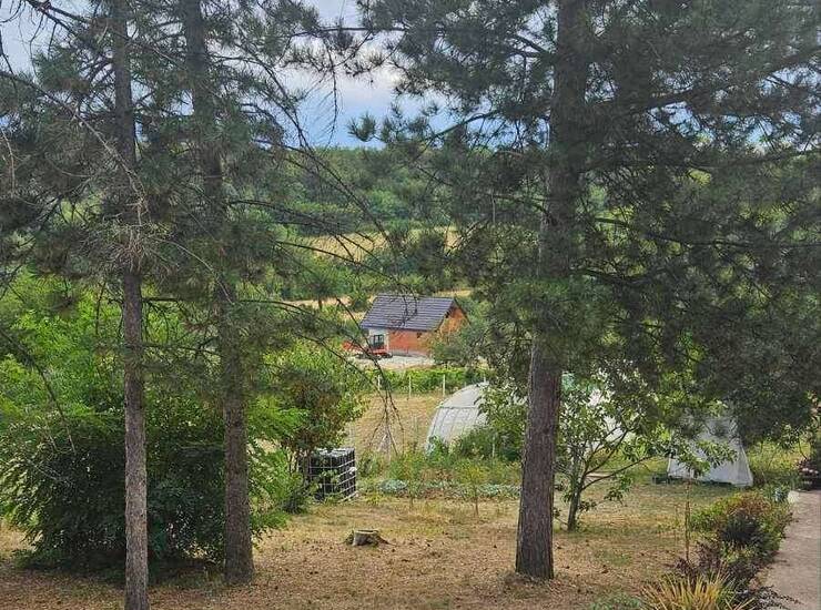 Vikendica Sremski Karlovci, Banstol - Vikend Naselje – fotografija 7