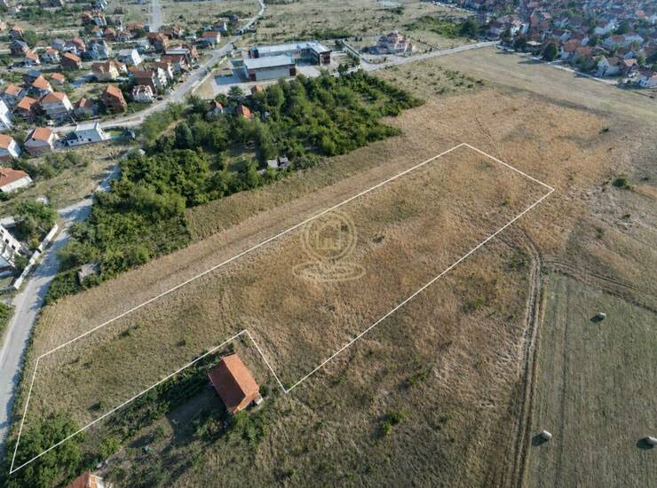Plac Niš, Branko Bjegović – fotografija 3