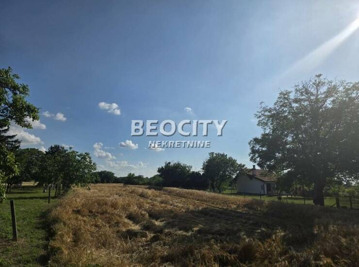 Plac Beograd, Boljevci – fotografija 1