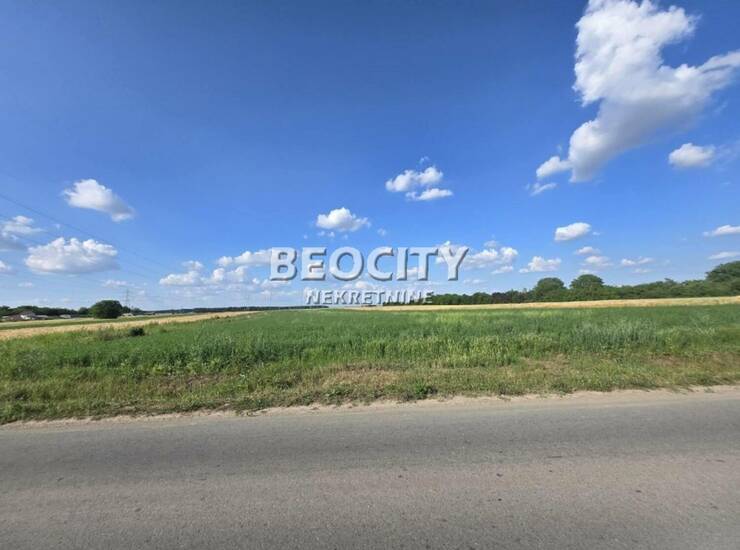 Plac Beograd, Boljevci – fotografija 3