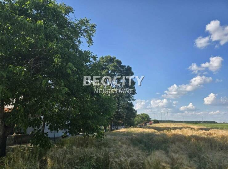 Plac Beograd, Boljevci – fotografija 4