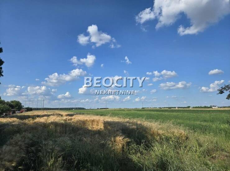Plac Beograd, Boljevci – fotografija 5