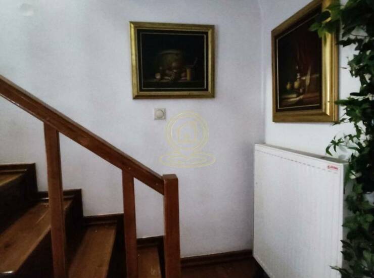 Stan Niš, Crveni pevac – fotografija 8