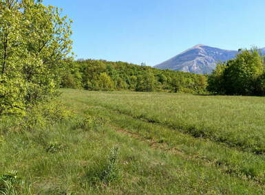 Plac, Mali Izvor · 96000m² · 290€ | SveNekretnine