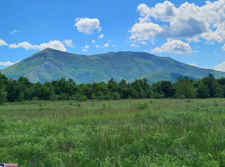 Plac Boljevac, Mali Izvor – fotografija 6