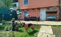 Kuća, Pirotsko naselje · 210m² · 250.000€ | SveNekretnine