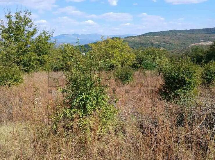 Plac Niš, Mokranjčeva – fotografija 3