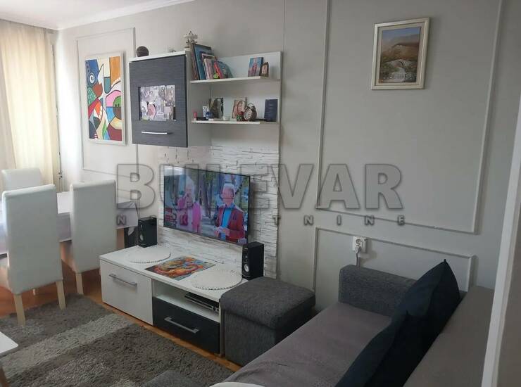 Stan Niš, Crveni pevac – fotografija 5