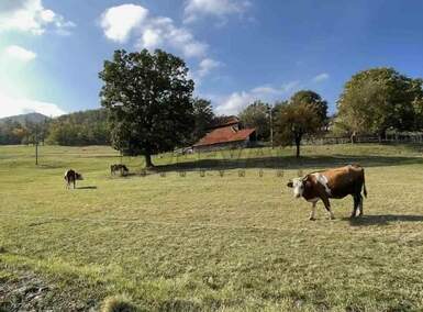 Plac, Dobrilovac · 2480m² · 89.500€ | SveNekretnine