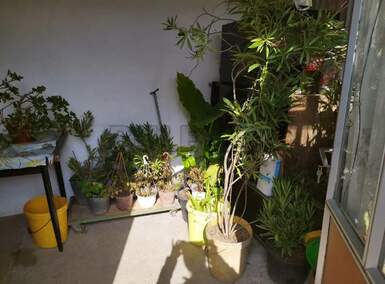 Kuća, Knežica · 57m² · 15.000€ | SveNekretnine