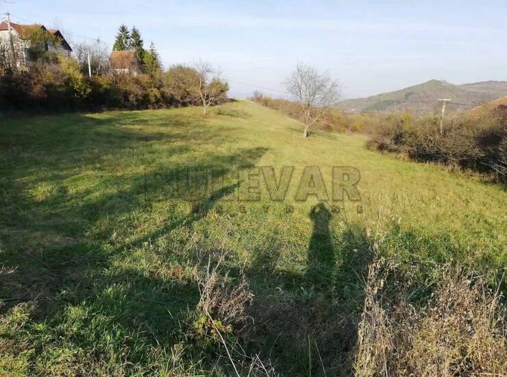 Plac Niš, Apelovac – fotografija 4