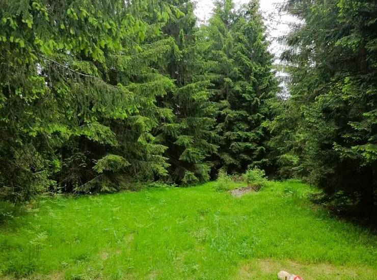 Plac Bajina Bašta – fotografija 1