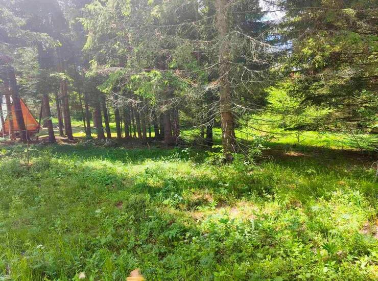Plac Bajina Bašta – fotografija 3