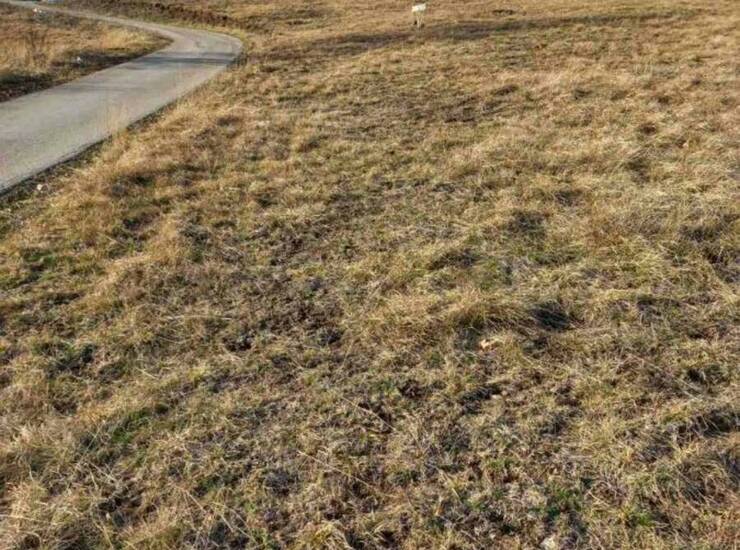 Plac Zlatibor – fotografija 5