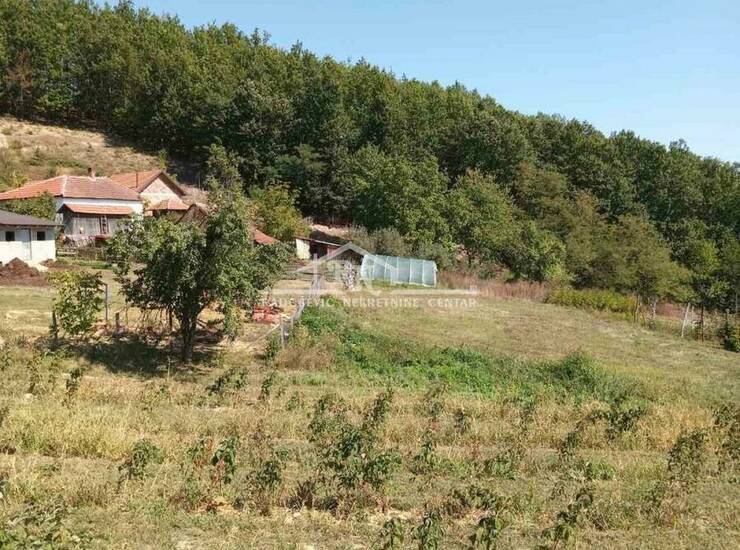 Kuća Lučani, centar – fotografija 10
