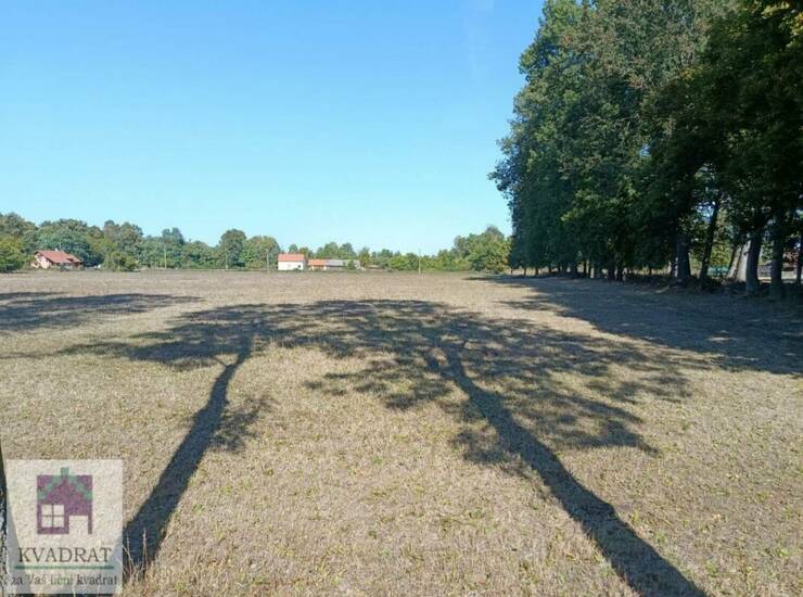 Plac Beograd, Poljane – fotografija 7