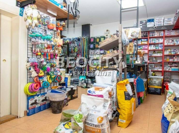 Poslovni prostor / Lokal Beograd, Vračar (centar) – fotografija 3