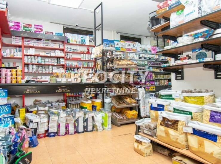 Poslovni prostor / Lokal Beograd, Vračar (centar) – fotografija 4