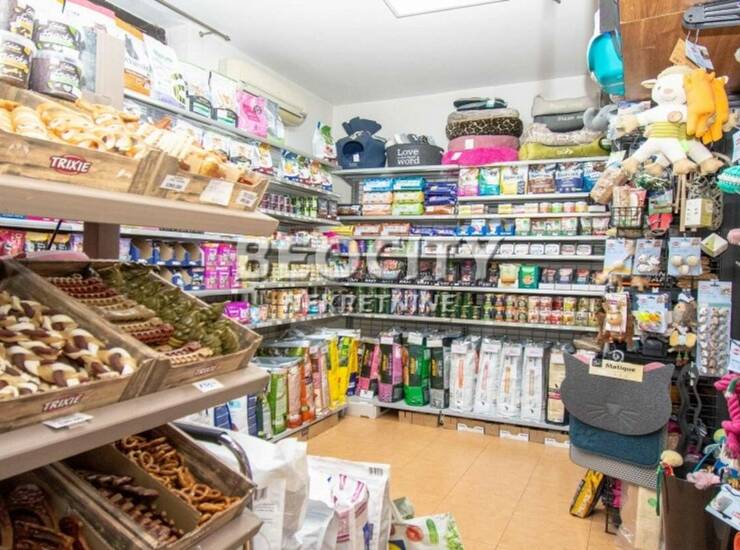 Poslovni prostor / Lokal Beograd, Vračar (centar) – fotografija 5