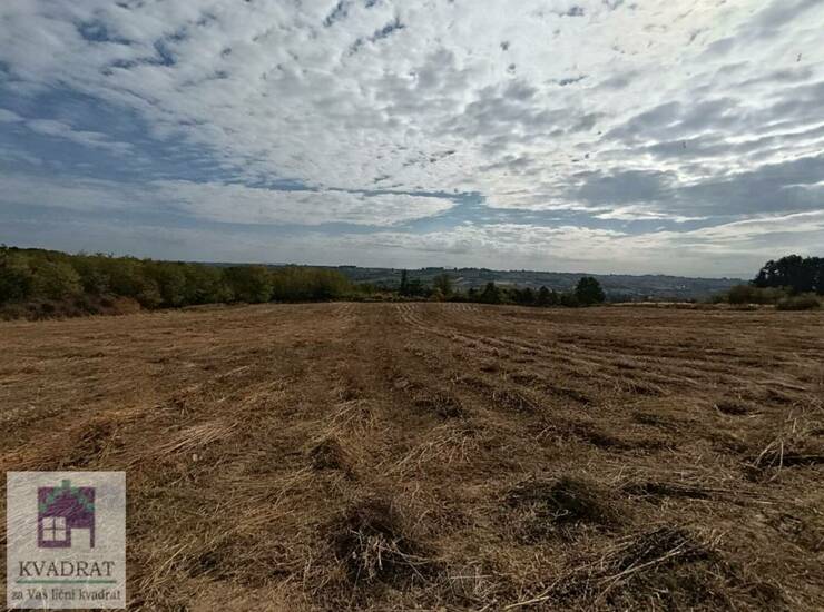 Plac Beograd, Vranić – fotografija 3