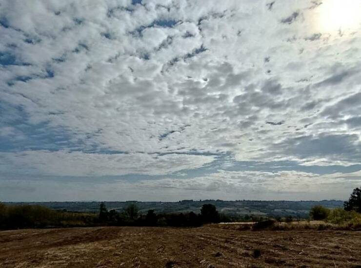 Plac Beograd, Vranić – fotografija 6