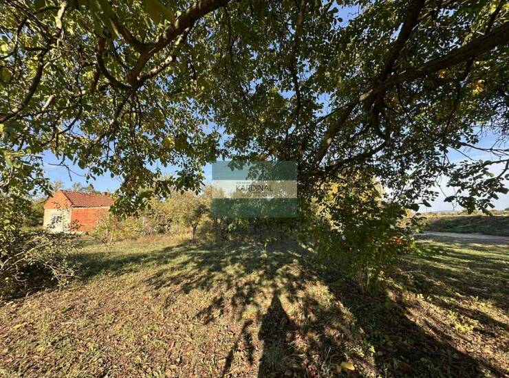 Kuća Batočina – fotografija 6