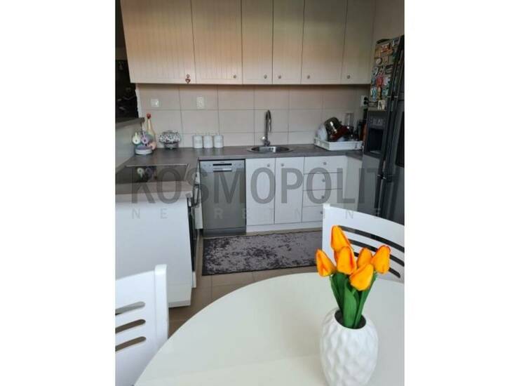Stan Pančevo, Mladost – fotografija 9