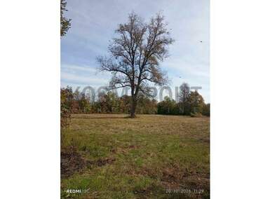 Plac, Stepojevac · 22000m² · 70.000€ | SveNekretnine