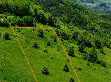 Plac, Kopaonik · 4921m² · 99.500€ | SveNekretnine
